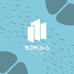Developer